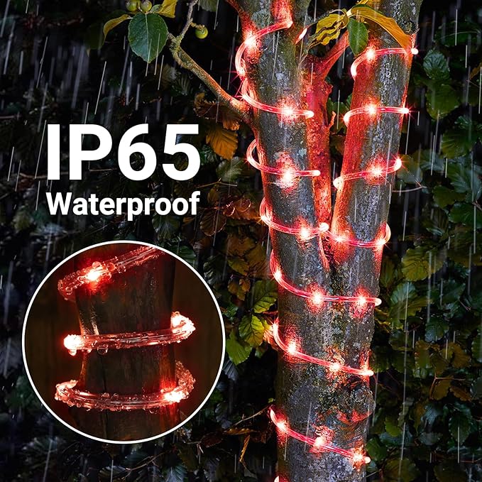 Solar Rope Lights, 33ft 100LED Solar String Lights, 8 Modes Waterproof Solar Powered Outdoor Light, Flexible Clear Tube Light for Garden Backyard Patio Deck Porch Pool Tree Christmas Decoration - Red