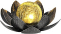 Solar Landscape Lights for Garden