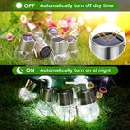 Solar Landscape Lights for Walkway