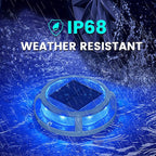 12-Pack Blue Solar Fence Lights, Outdoor LED