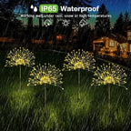 Firework Fairy Lights 4-Pack, 120 LED Starburst