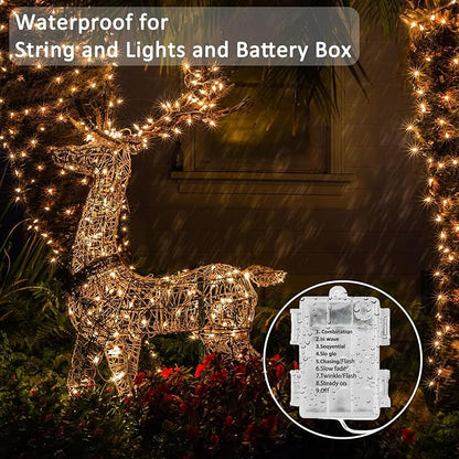 Beieverluck 10 Pack 33FT 100 LED Fairy Lights Battery Operated Fairy Lights with Remote and Timer Waterproof String Lights Outdoor Indoor for Bedroom Wedding Christmas Decorations, Warm White