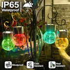 Warm White Solar Pathway Lights 12-Pack, Yard LED