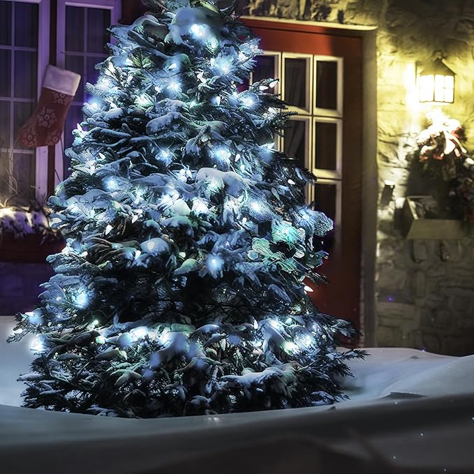 Christmas Fairy Lights, 20ft 60 LED Battery Twinkle Lights
