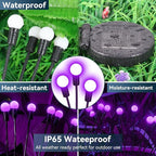 Solar Pathway Lights 2-Pack, Walkway LED