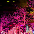Backyard String Lights, 33ft Weatherproof LED