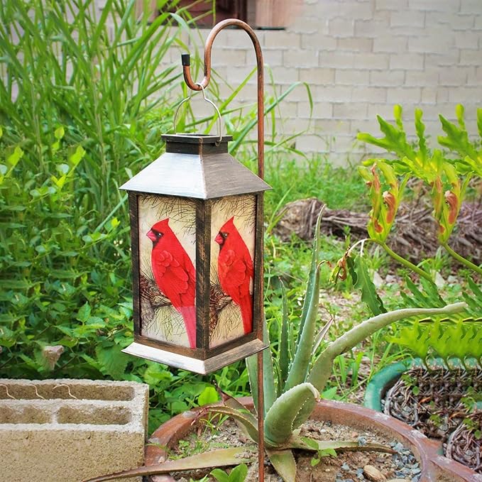 Cardinal Solar Yard Lanterns, Classic Waterproof LED