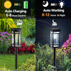 Cool White Solar Pathway Lights 12-Pack, Garden LED