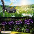 2-Pack Solar Pathway Lights, Waterproof LED Garden Lights