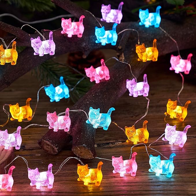 Christmas Backyard String Lights, 10ft 30 LED Waterproof