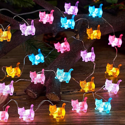 Christmas Backyard String Lights, 10ft 30 LED Waterproof