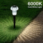 Cold White Solar Pathway Lights 8-Pack, Yard LED
