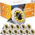 12-Pack Warm White In-Ground Solar Lights, Flat LED Garden