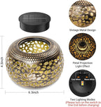 2-Pack Backyard Solar Outdoor Lanterns, Elegant Waterproof LED