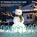 Solar Landscape Lights for Garden