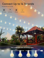 Christmas Fairy Lights, 50ft 40 LED Battery Twinkle Lights