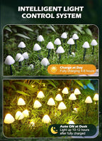 Backyard String Lights, 8ft Weatherproof LED
