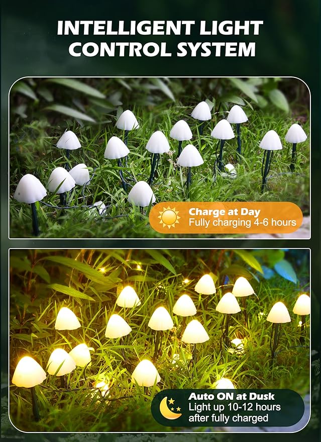 Backyard String Lights, 8ft Weatherproof LED