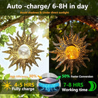 Solar Pathway Lights, Waterproof LED Driveway Lights