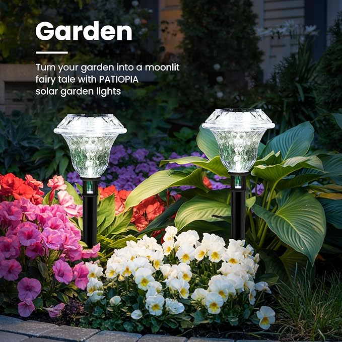 Cold White Solar Pathway Lights 6-Pack, Walkway LED