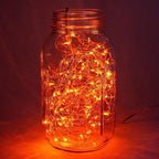 Christmas Yard String Lights 2-Pack, 30 LED Waterproof
