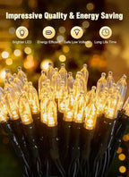 4-Pack Christmas String Lights, 8ft 20 LED Waterproof Twinkle Lights