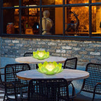 Solar Landscape Lights for Driveway