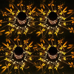 4-Pack Dragonfly Solar Lanterns, Waterproof LED Backyard Lights