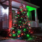 Christmas Fairy Lights 2-Pack, 50 LED Battery Twinkle Lights