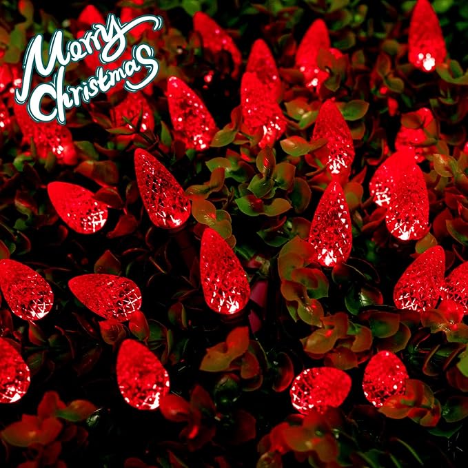 Christmas Yard String Lights, 20ft 6 LED Waterproof
