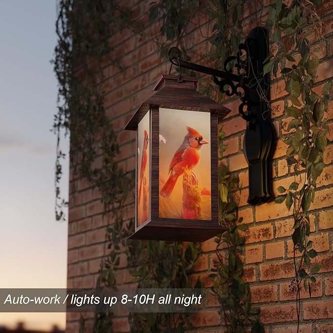 Charming Bird Solar Lanterns for Backyard, Waterproof LED