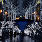 Cool White Christmas Lights 4-Packft LED Remote & Timer