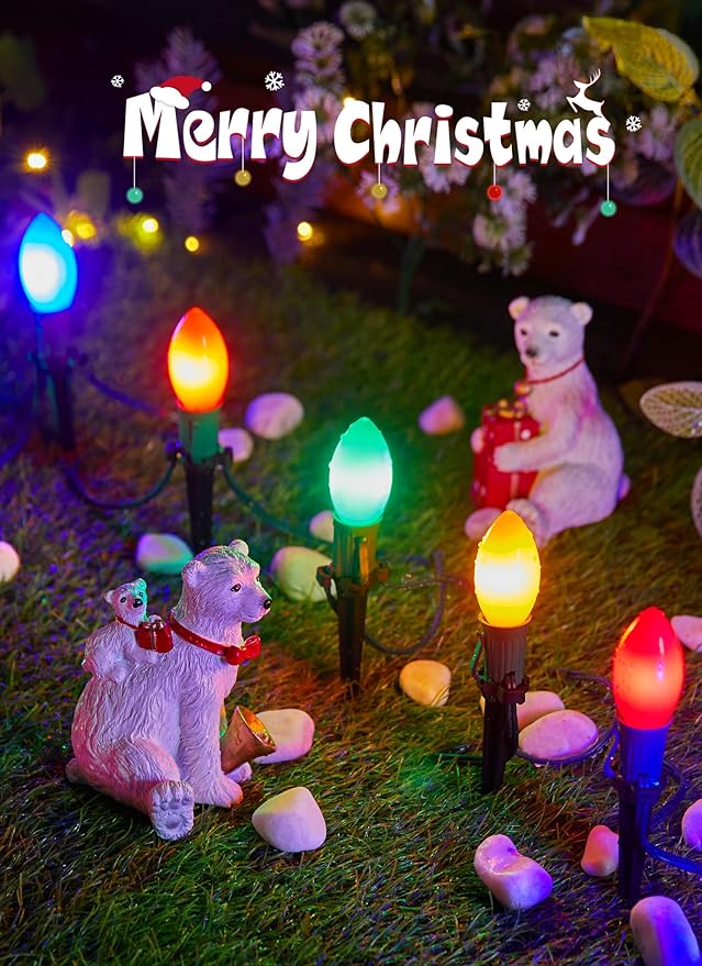 Frosted C9 Christmas Lights Outdoor, 25.7ft 20 Bulb Pathway Lights with Stakes, Multicolor