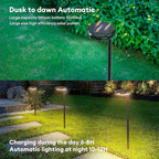 Warm White Solar Path Lights, Outdoor Driveway LED