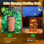 Dragonfly Solar Lanterns, Waterproof LED Backyard Lights