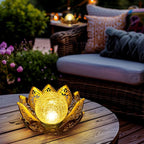 Solar Yard Path Lights, Waterproof