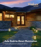 8-Pack Solar Pathway Lights, IP65 Waterproof LED Garden Lights