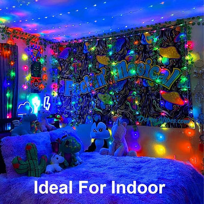 Christmas Lights Outdoor Battery Operated Total 100LED 33ft for Christmas Decorations 16.4Ft*2, 50LED*2 Waterproof Indoor with Timer for Christmas Decor, Multicolor