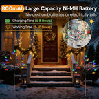 2-Pack Solar Path Lights, Outdoor Walkway LED