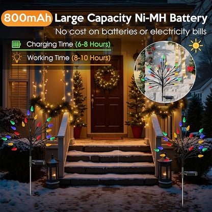 Solar Christmas Lights Outdoor Waterproof, Solar Powered Xmas Stake Lights Decorations with 20 Colored Strawberries and 2 Modes for Outside, Pathway, Yard, Walkway, Lawn, Grave, Holiday Decor(2 Pack)