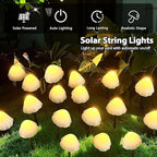55ft C9 Christmas Walkway Lights, LED