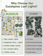33ft Warm White Outdoor Edison String Lights, Weatherproof