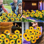 8-Pack Solar Path Lights, Outdoor Walkway LED
