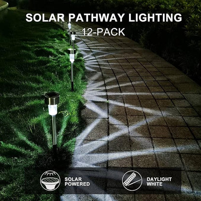 Dream Master Solar Lights Outdoor Waterproof, Stainless Steel LED Landscape Lighting, Solar Garden Lights, Outdoor Decorations for Yard, Pathway, Walkway, Patio, Lawn - 12 Pack (Cold White)