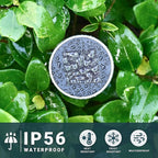 12-Pack Solar Pathway Lights, Waterproof LED Walkway Lights