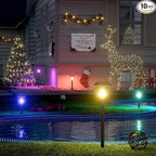 Solar Driveway Path Lights 10-Pack, Waterproof