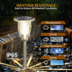 Warm White Solar Pathway Lights 2-Pack, Garden LED