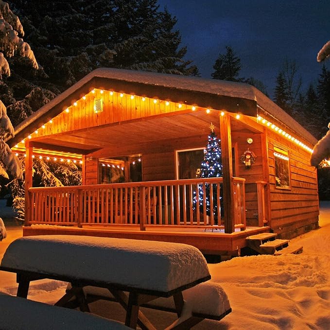 25ft Black Outdoor Edison String Lights, Weatherproof