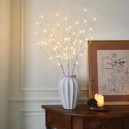 Lit White Birch Twig Branch Lights 30IN 60LT Plug in Lighted Willow Branch for Home Holiday Party Wedding Spring Decoration Indoor and Outdoor Use (Vase Excluded)