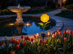 Solar Pathway Lights, Yard LED